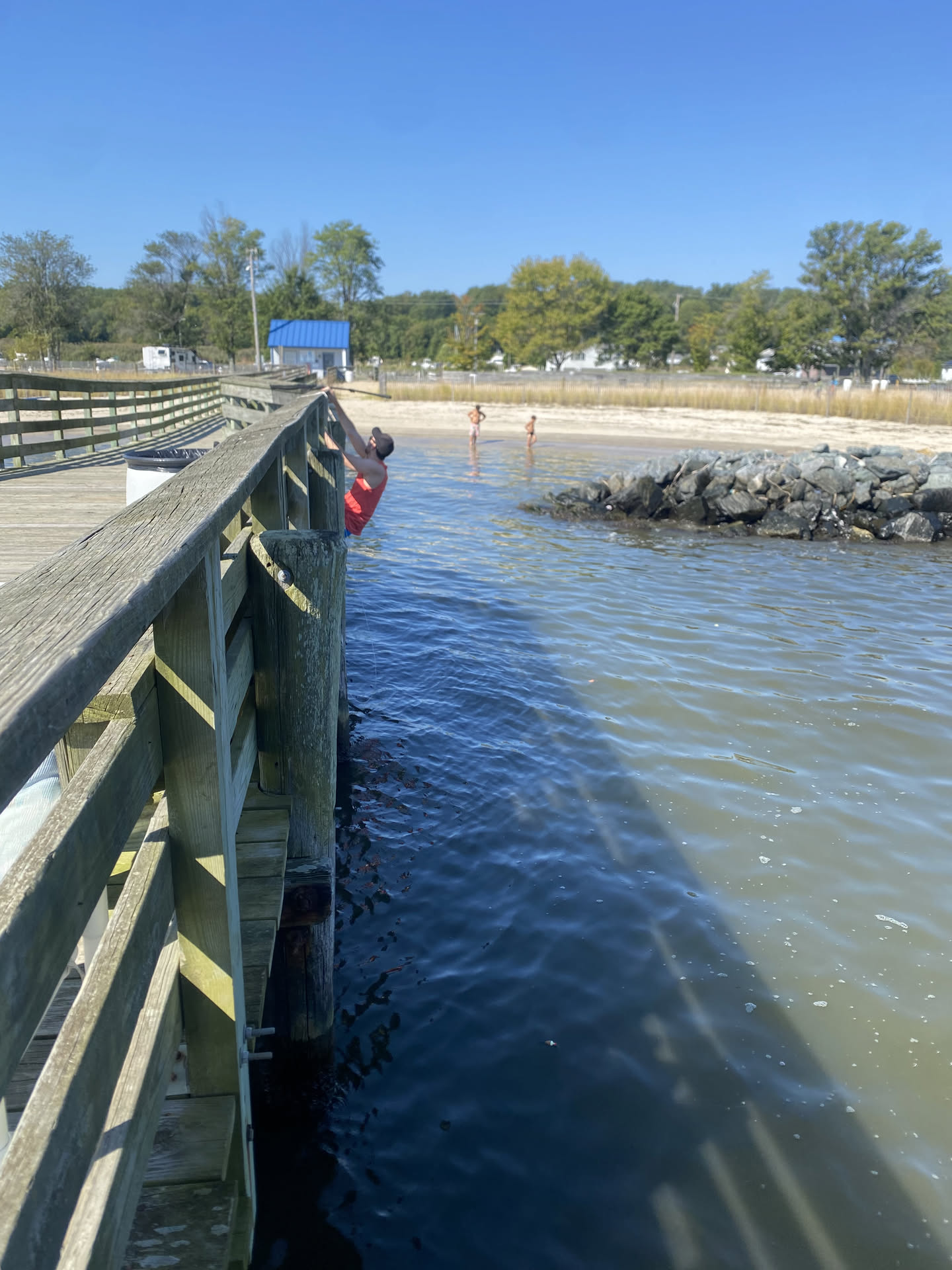 The shoreline from the pier